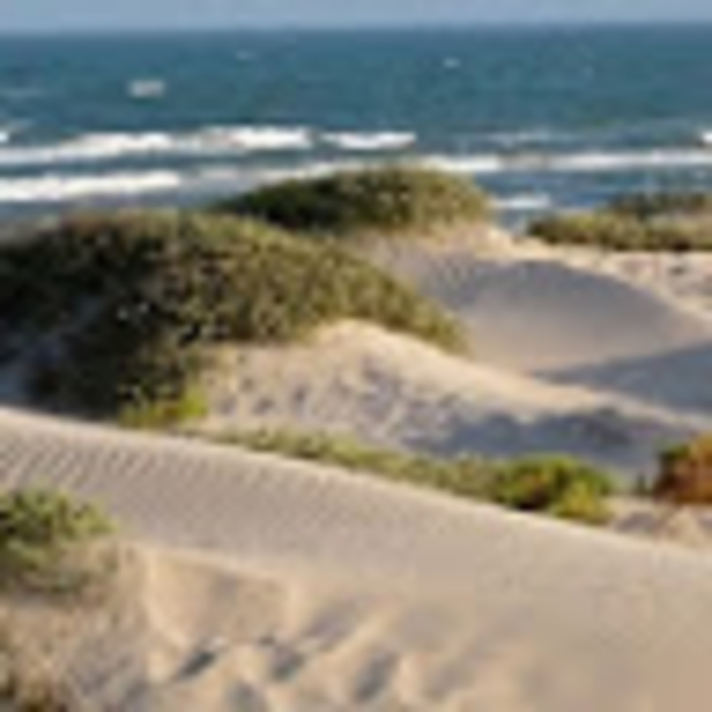 Meet your Posher, Trisha